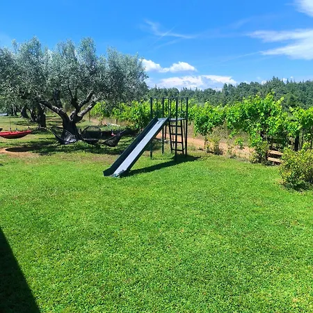 Holiday home Mountain House Paliouras Agios Nikolaos (Chalkidiki)